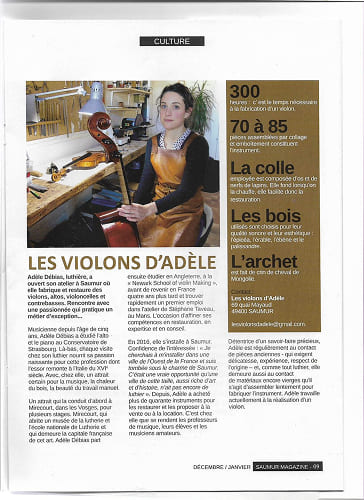 Extrait-journal-les-violons-dadele.jpg